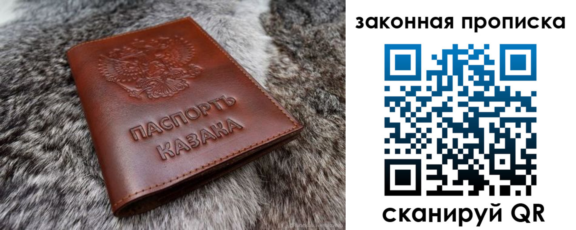 прописка в Белгородской области